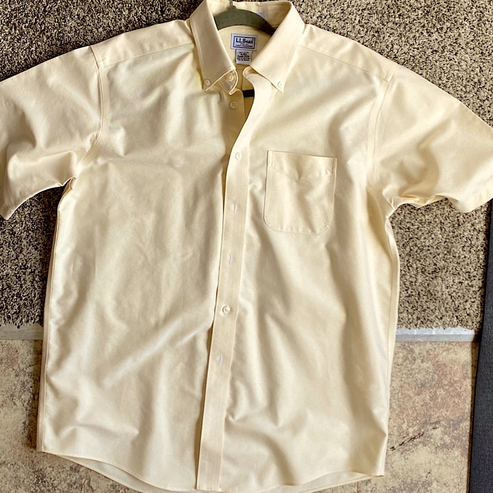 NWOT L.L. Bean Cotton Wrinkle Free Button Up |  Light Neutral Yellow | Size 16